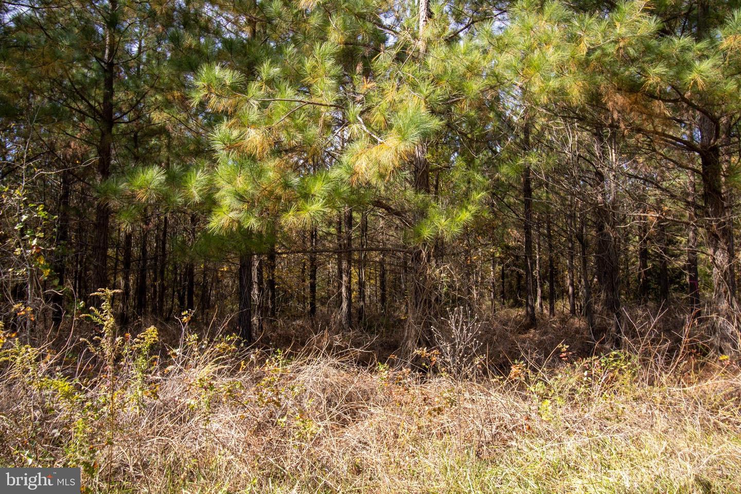 RABAT #8130-1, NATHALIE, Virginia 24577, ,Land,For sale,RABAT #8130-1,VAHX2000152 MLS # VAHX2000152 RABAT #8130-1, NATHALIE, Virginia 24577, ,Land,For sale,RABAT #8130-1,VAHX2000152 MLS # VAHX2000152