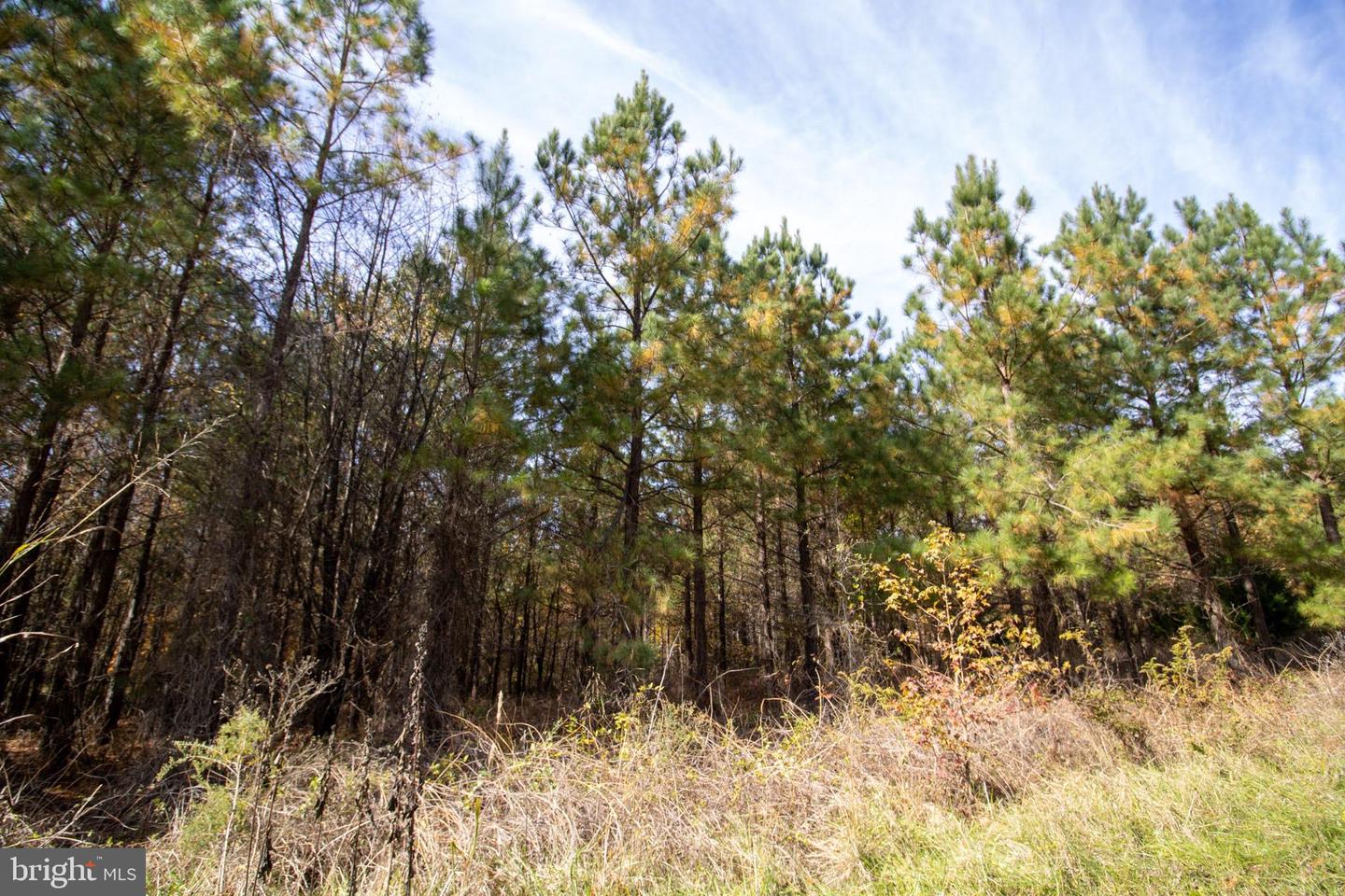 RABAT #8130-1, NATHALIE, Virginia 24577, ,Land,For sale,RABAT #8130-1,VAHX2000152 MLS # VAHX2000152 RABAT #8130-1, NATHALIE, Virginia 24577, ,Land,For sale,RABAT #8130-1,VAHX2000152 MLS # VAHX2000152