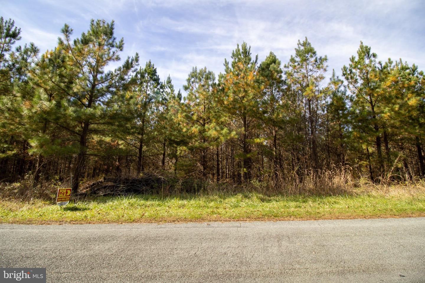 RABAT #8130-1, NATHALIE, Virginia 24577, ,Land,For sale,RABAT #8130-1,VAHX2000152 MLS # VAHX2000152 RABAT #8130-1, NATHALIE, Virginia 24577, ,Land,For sale,RABAT #8130-1,VAHX2000152 MLS # VAHX2000152
