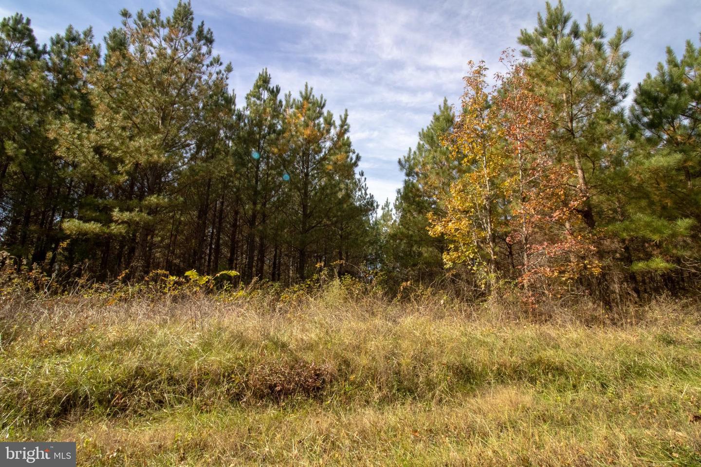 RABAT #8130-1, NATHALIE, Virginia 24577, ,Land,For sale,RABAT #8130-1,VAHX2000152 MLS # VAHX2000152 RABAT #8130-1, NATHALIE, Virginia 24577, ,Land,For sale,RABAT #8130-1,VAHX2000152 MLS # VAHX2000152