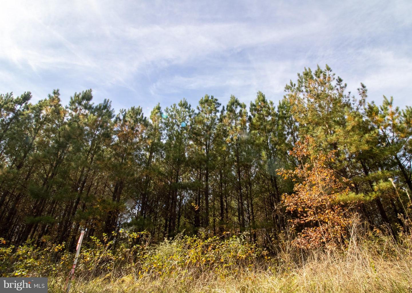 RABAT #8130-1, NATHALIE, Virginia 24577, ,Land,For sale,RABAT #8130-1,VAHX2000152 MLS # VAHX2000152 RABAT #8130-1, NATHALIE, Virginia 24577, ,Land,For sale,RABAT #8130-1,VAHX2000152 MLS # VAHX2000152