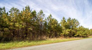 RABAT #8130-1, NATHALIE, Virginia 24577, ,Land,For sale,RABAT #8130-1,VAHX2000152 MLS # VAHX2000152