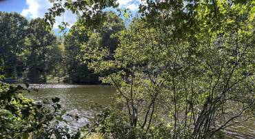 SPOTSYLVANIA, Virginia 22551, ,Land,For sale,VASP2038668 MLS # VASP2038668