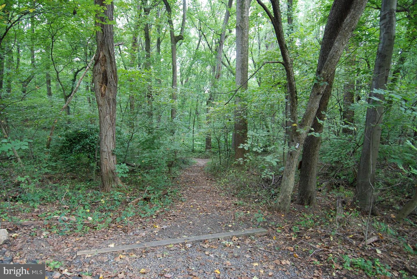 4500 35TH RD N, ARLINGTON, Virginia 22207, 4 Bedrooms Bedrooms, ,3 BathroomsBathrooms,Residential,For sale,4500 35TH RD N,VAAR2066478 MLS # VAAR2066478