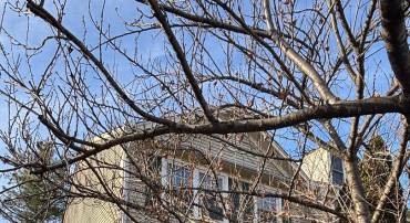 11301 KESSLER PL, MANASSAS, Virginia 20109, 3 Bedrooms Bedrooms, ,2 BathroomsBathrooms,Residential,For sale,11301 KESSLER PL,VAPW2108878 MLS # VAPW2108878