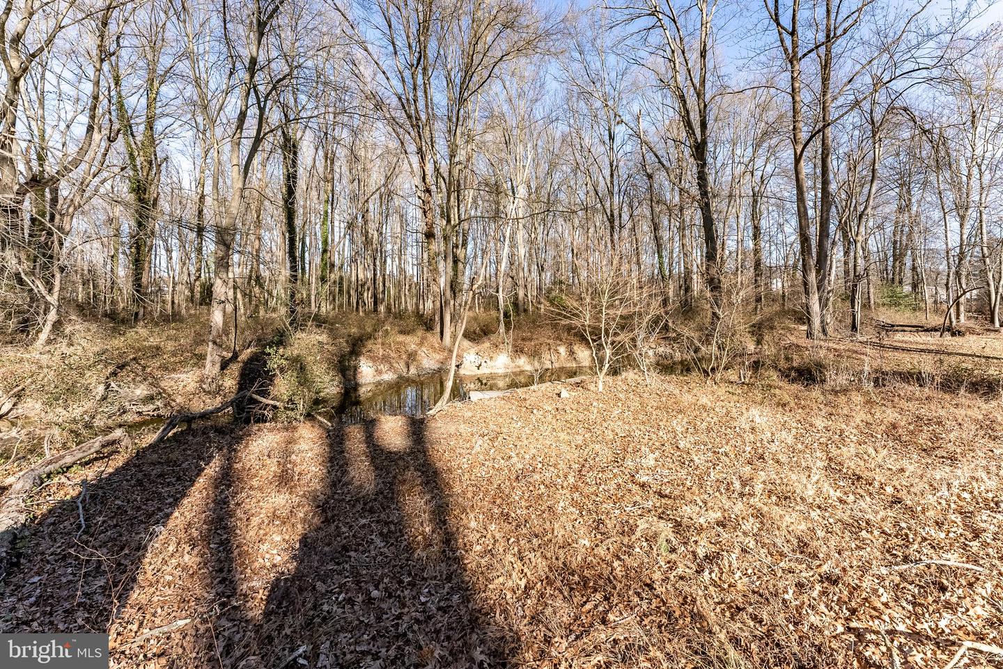 4414 GAGE RD, ALEXANDRIA, Virginia 22309, 3 Bedrooms Bedrooms, ,2 BathroomsBathrooms,Residential,For sale,4414 GAGE RD,VAFX2282260 MLS # VAFX2282260