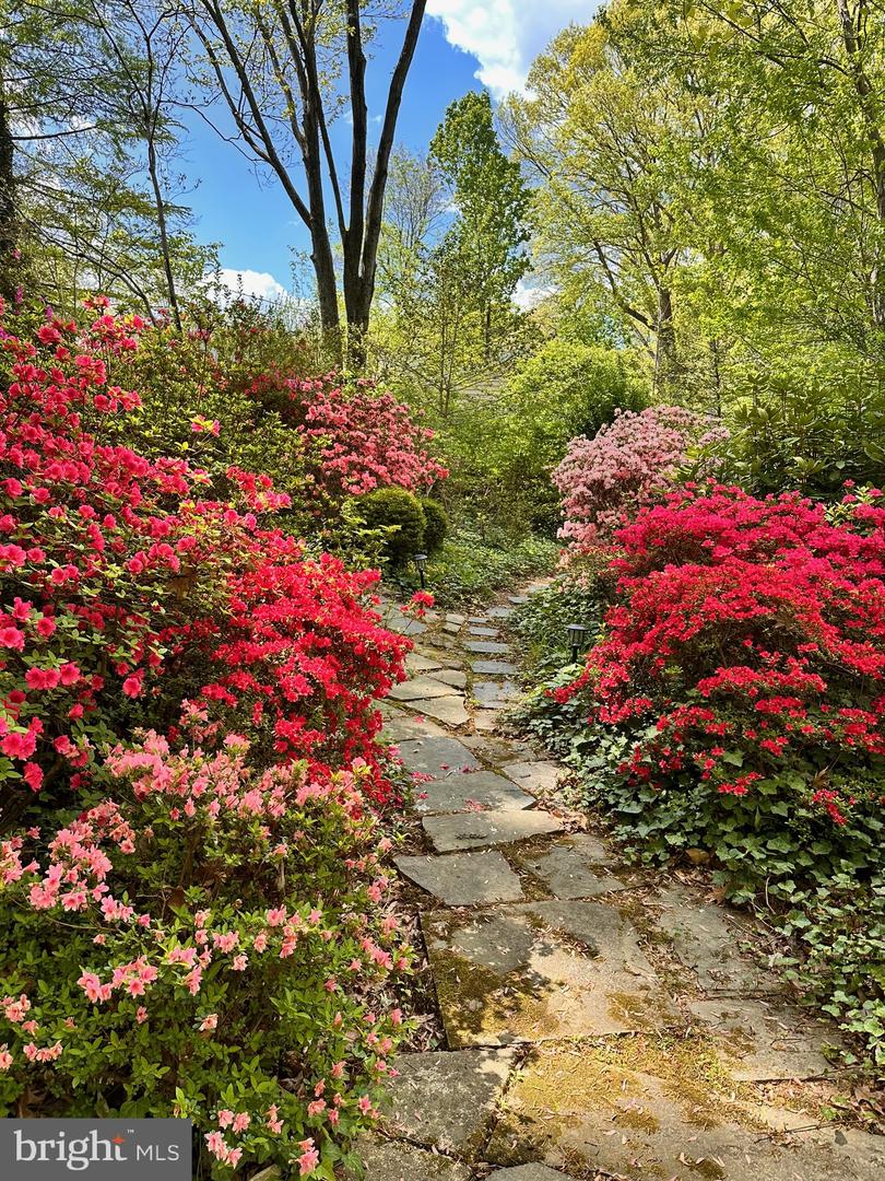 5909 KELLEY CT, ALEXANDRIA, Virginia 22312, 4 Bedrooms Bedrooms, ,2 BathroomsBathrooms,Residential,For sale,5909 KELLEY CT,VAAX2052712 MLS # VAAX2052712