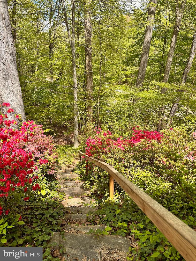 5909 KELLEY CT, ALEXANDRIA, Virginia 22312, 4 Bedrooms Bedrooms, ,2 BathroomsBathrooms,Residential,For sale,5909 KELLEY CT,VAAX2052712 MLS # VAAX2052712