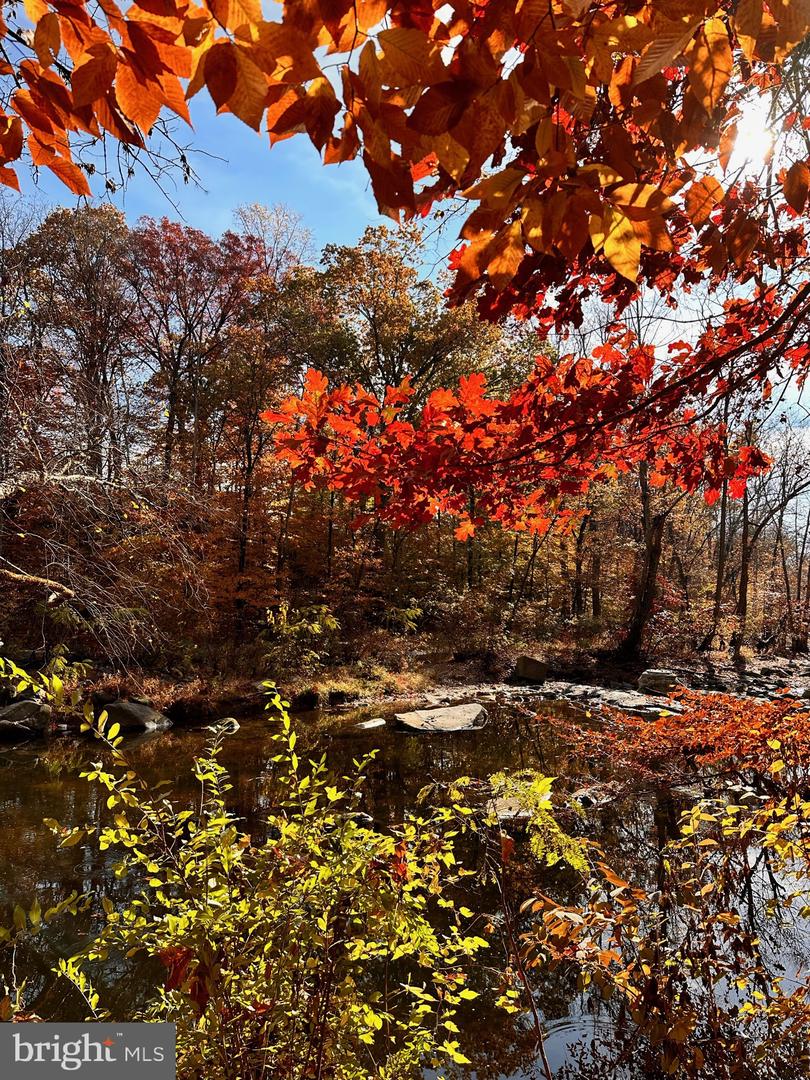 5909 KELLEY CT, ALEXANDRIA, Virginia 22312, 4 Bedrooms Bedrooms, ,2 BathroomsBathrooms,Residential,For sale,5909 KELLEY CT,VAAX2052712 MLS # VAAX2052712