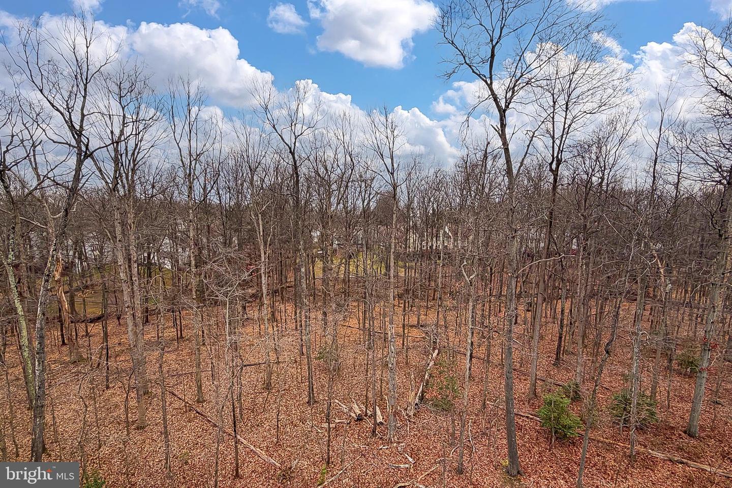 3849 RAINIER DR, FAIRFAX, Virginia 22033, 4 Bedrooms Bedrooms, ,4 BathroomsBathrooms,Residential,For sale,3849 RAINIER DR,VAFX2283520 MLS # VAFX2283520 3849 RAINIER DR, FAIRFAX, Virginia 22033, 4 Bedrooms Bedrooms, ,4 BathroomsBathrooms,Residential,For sale,3849 RAINIER DR,VAFX2283520 MLS # VAFX2283520