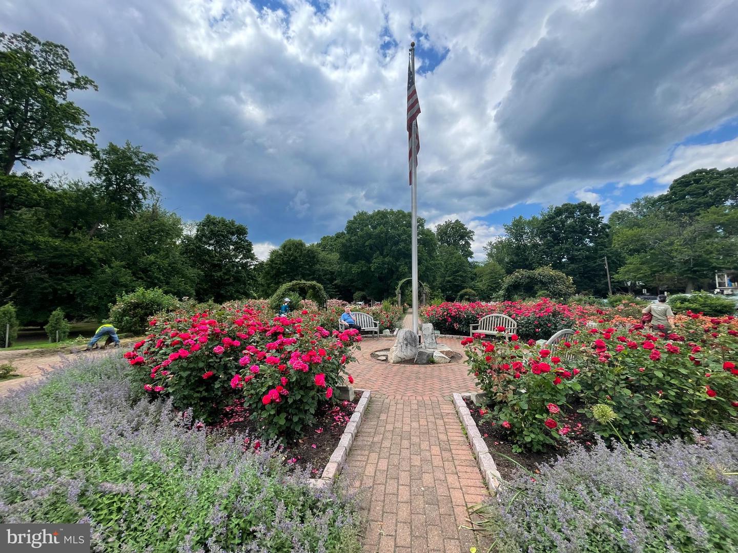 911 N LEXINGTON ST, ARLINGTON, Virginia 22205, 4 Bedrooms Bedrooms, 13 Rooms Rooms,3 BathroomsBathrooms,Residential,For sale,911 N LEXINGTON ST,VAAR2067290 MLS # VAAR2067290