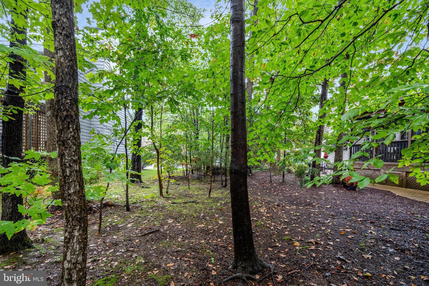 13100 ROCKPOINTE CT, CLIFTON, Virginia 20124, 4 Bedrooms Bedrooms, ,3 BathroomsBathrooms,Residential,For sale,13100 ROCKPOINTE CT,VAFX2284712 MLS # VAFX2284712