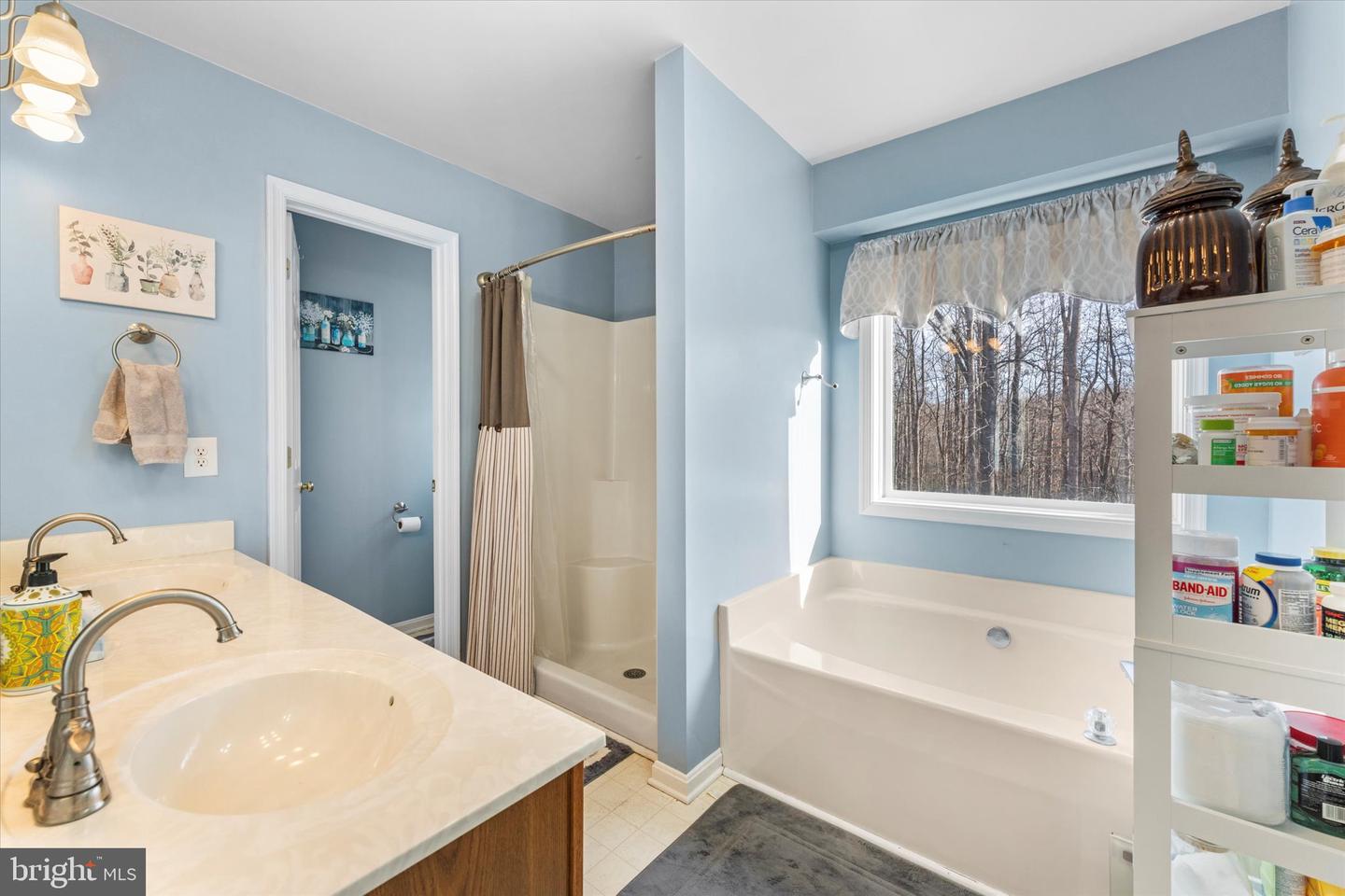 4273 RUNNING QUAIL TRL, AMISSVILLE, Virginia 20106, 4 Bedrooms Bedrooms, ,3 BathroomsBathrooms,Residential,For sale,4273 RUNNING QUAIL TRL,VACU2012360 MLS # VACU2012360