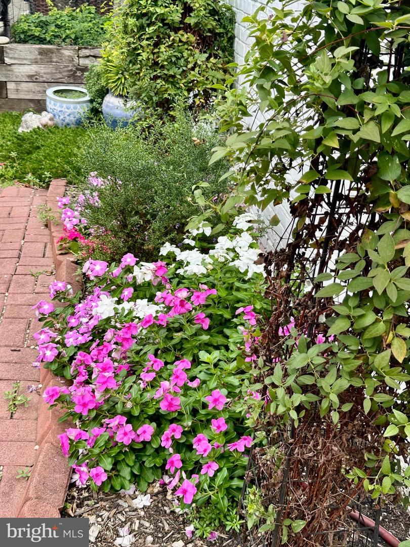 719 GIBBON ST, ALEXANDRIA, Virginia 22314, 3 Bedrooms Bedrooms, ,3 BathroomsBathrooms,Residential,For sale,719 GIBBON ST,VAAX2053026 MLS # VAAX2053026