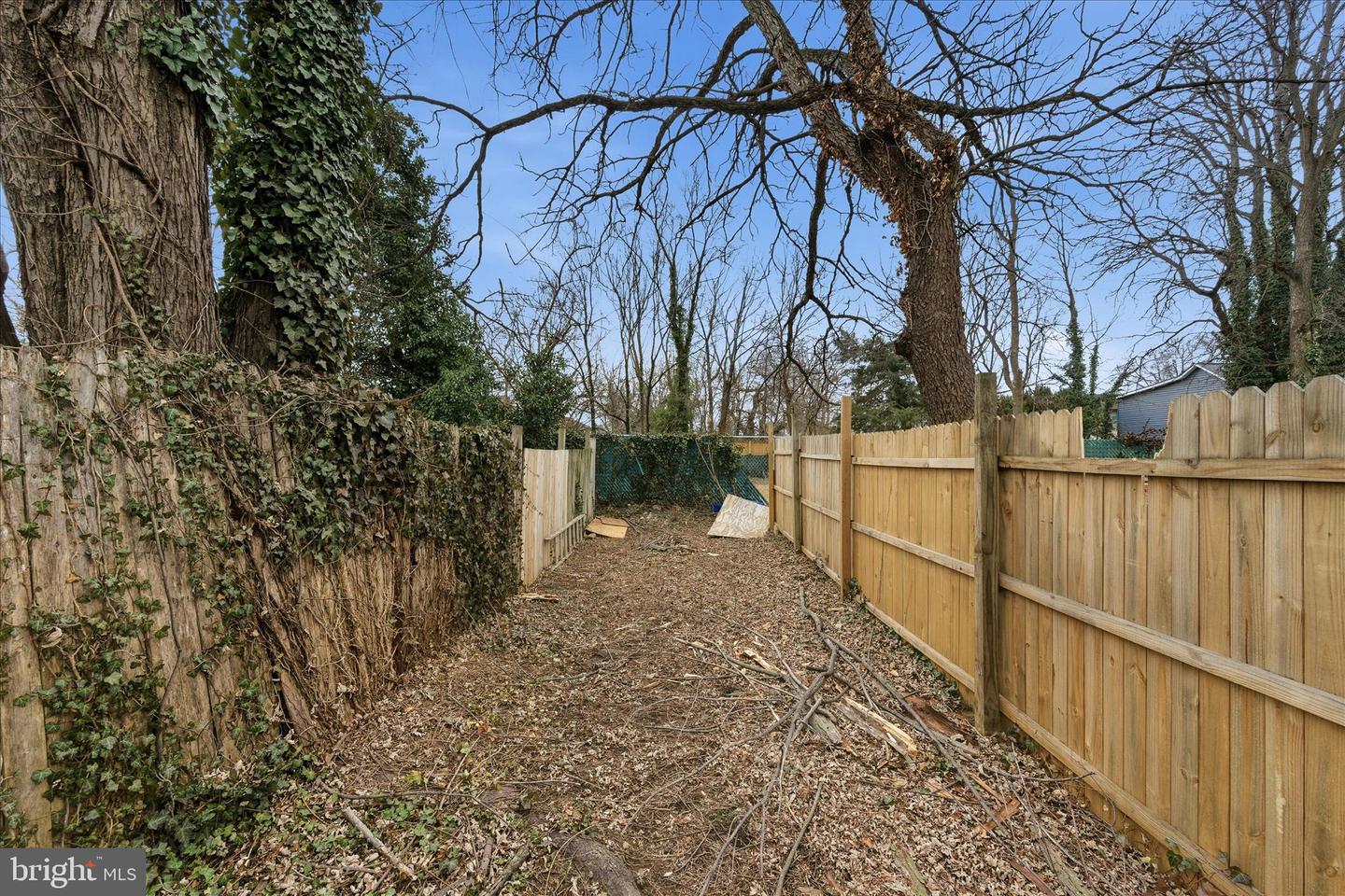 45 AND 45 1/2 RACE ST, WINCHESTER, Virginia 22601, 2 Bedrooms Bedrooms, ,1 BathroomBathrooms,Residential,For sale,45 AND 45 1/2 RACE ST,VAWI2009722 MLS # VAWI2009722