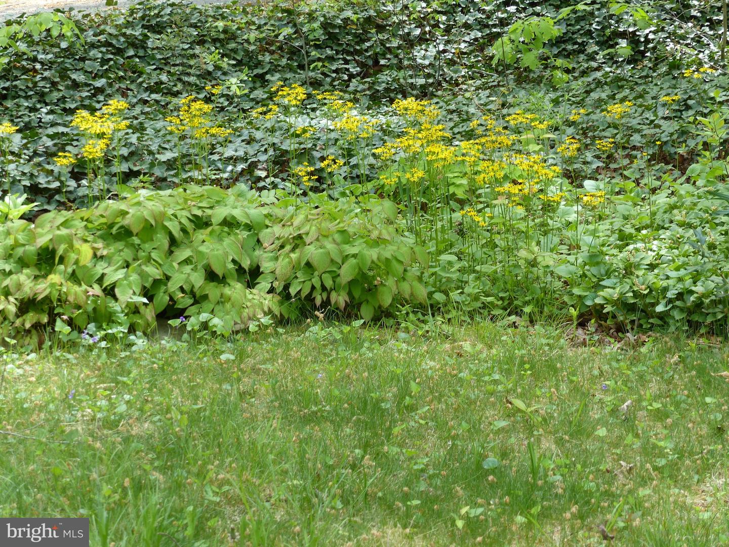 2205 PAUL SPRING RD, ALEXANDRIA, Virginia 22307, 3 Bedrooms Bedrooms, ,2 BathroomsBathrooms,Residential,For sale,2205 PAUL SPRING RD,VAFX2285402 MLS # VAFX2285402