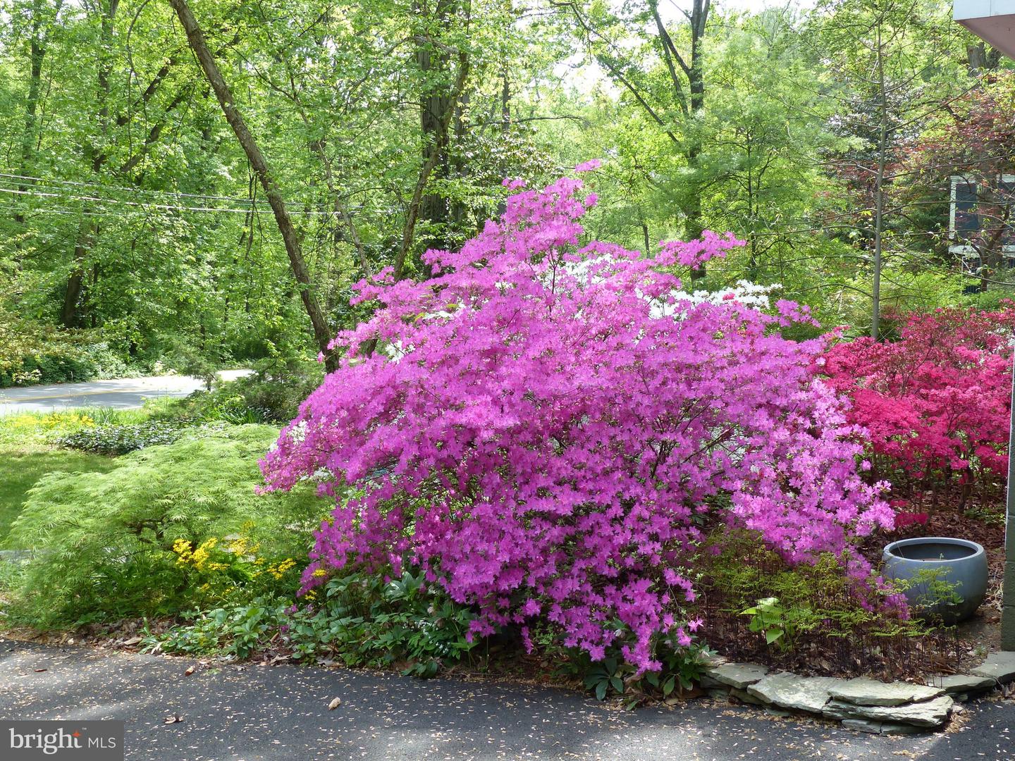 2205 PAUL SPRING RD, ALEXANDRIA, Virginia 22307, 3 Bedrooms Bedrooms, ,2 BathroomsBathrooms,Residential,For sale,2205 PAUL SPRING RD,VAFX2285402 MLS # VAFX2285402