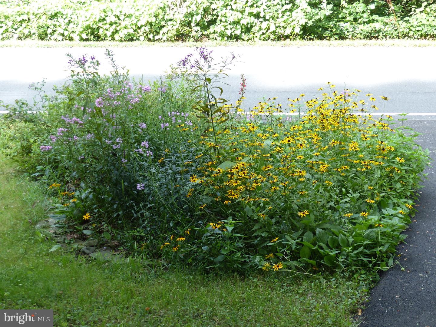 2205 PAUL SPRING RD, ALEXANDRIA, Virginia 22307, 3 Bedrooms Bedrooms, ,2 BathroomsBathrooms,Residential,For sale,2205 PAUL SPRING RD,VAFX2285402 MLS # VAFX2285402