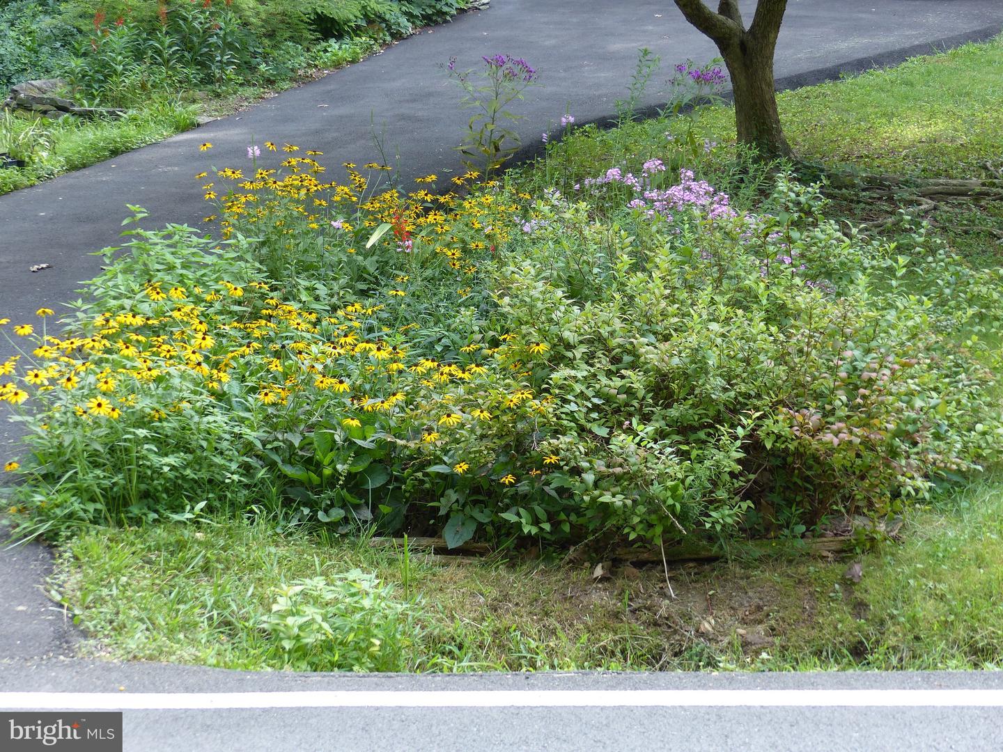 2205 PAUL SPRING RD, ALEXANDRIA, Virginia 22307, 3 Bedrooms Bedrooms, ,2 BathroomsBathrooms,Residential,For sale,2205 PAUL SPRING RD,VAFX2285402 MLS # VAFX2285402