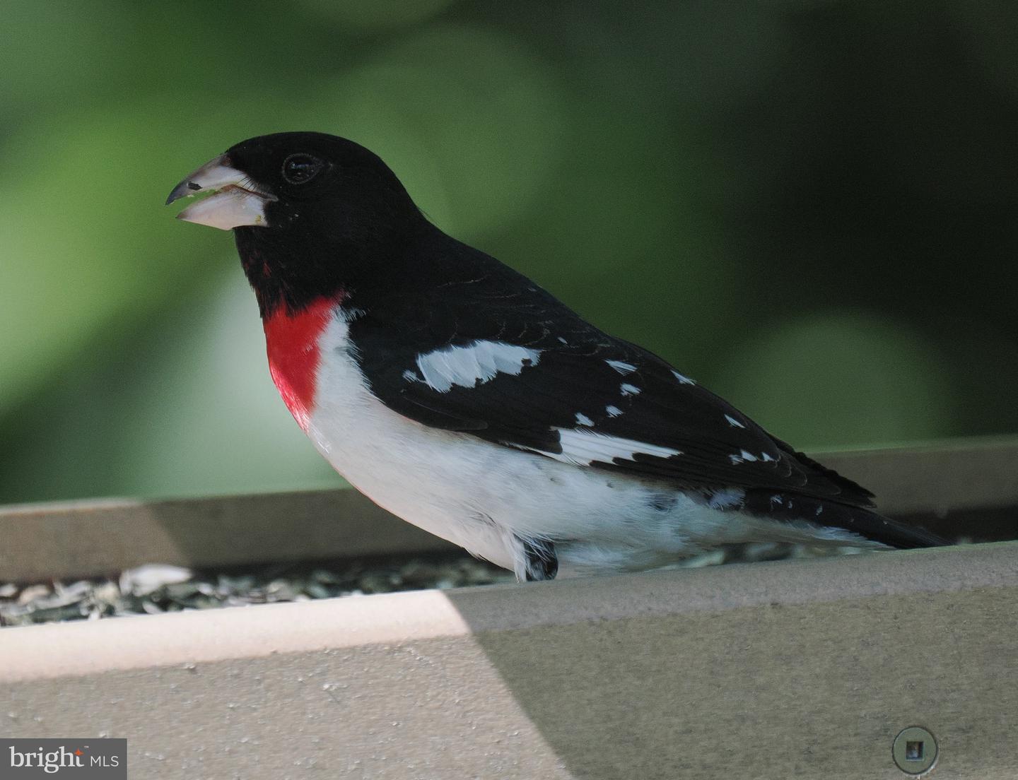 2205 PAUL SPRING RD, ALEXANDRIA, Virginia 22307, 3 Bedrooms Bedrooms, ,2 BathroomsBathrooms,Residential,For sale,2205 PAUL SPRING RD,VAFX2285402 MLS # VAFX2285402