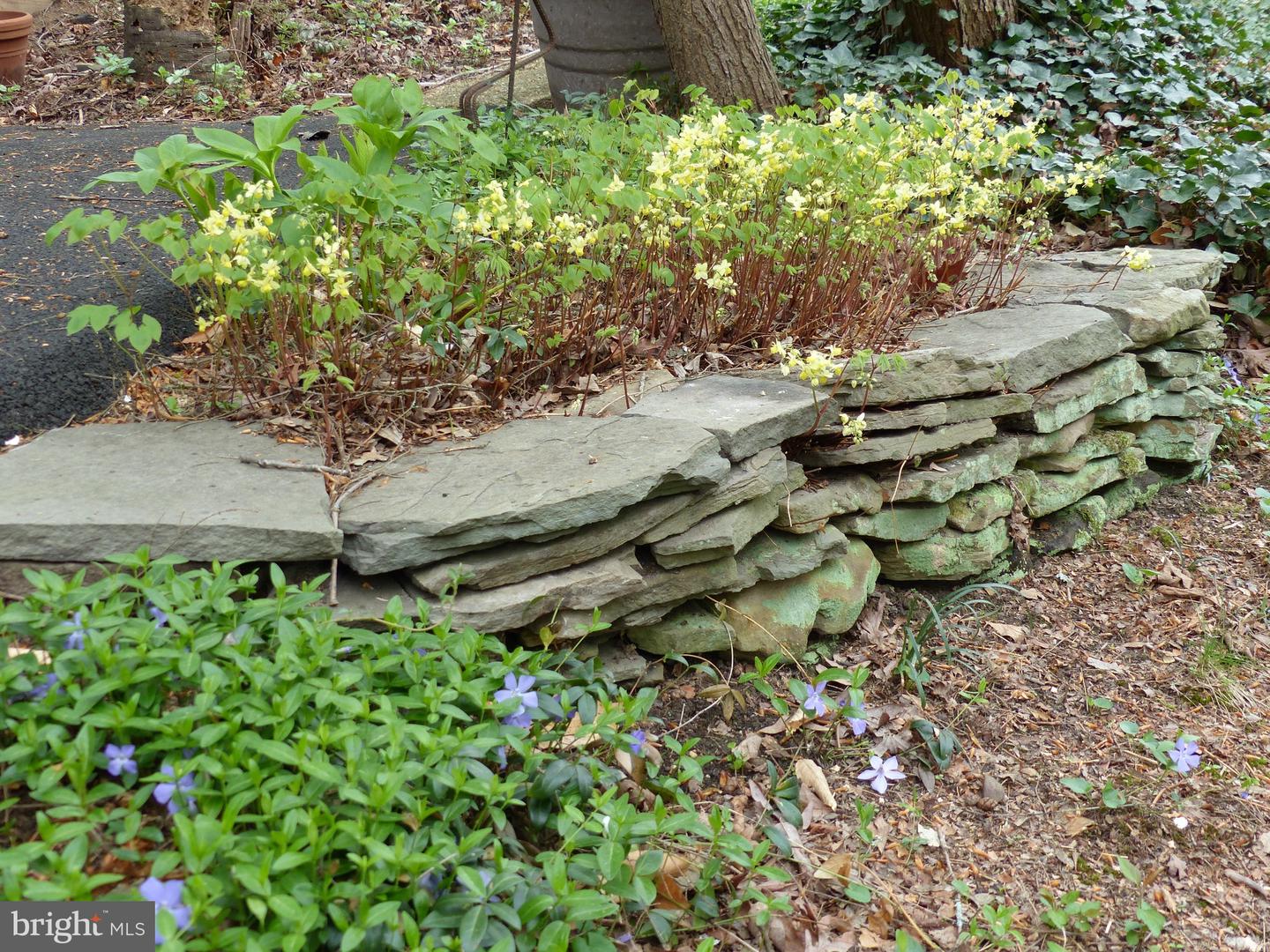 2205 PAUL SPRING RD, ALEXANDRIA, Virginia 22307, 3 Bedrooms Bedrooms, ,2 BathroomsBathrooms,Residential,For sale,2205 PAUL SPRING RD,VAFX2285402 MLS # VAFX2285402