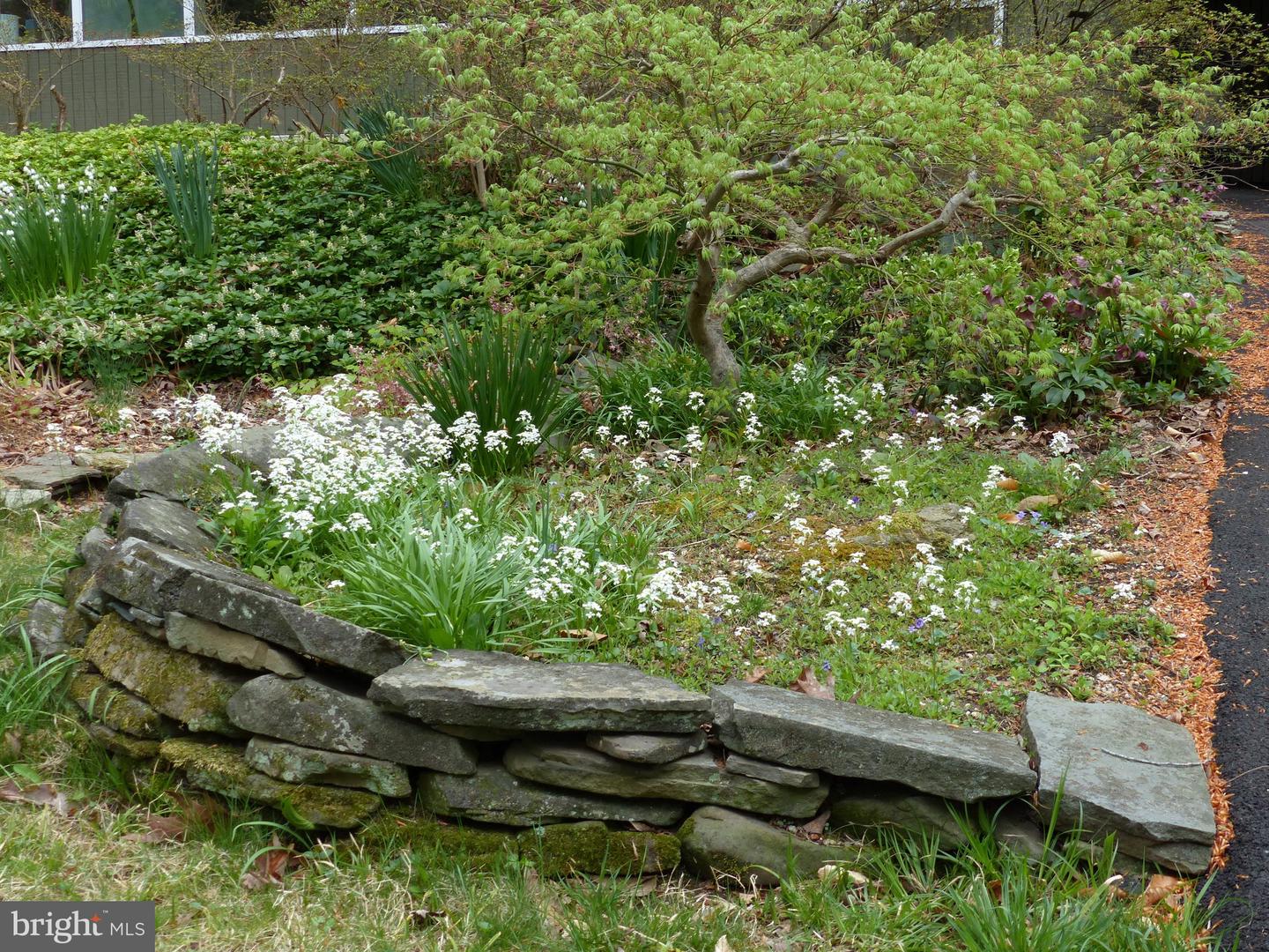 2205 PAUL SPRING RD, ALEXANDRIA, Virginia 22307, 3 Bedrooms Bedrooms, ,2 BathroomsBathrooms,Residential,For sale,2205 PAUL SPRING RD,VAFX2285402 MLS # VAFX2285402