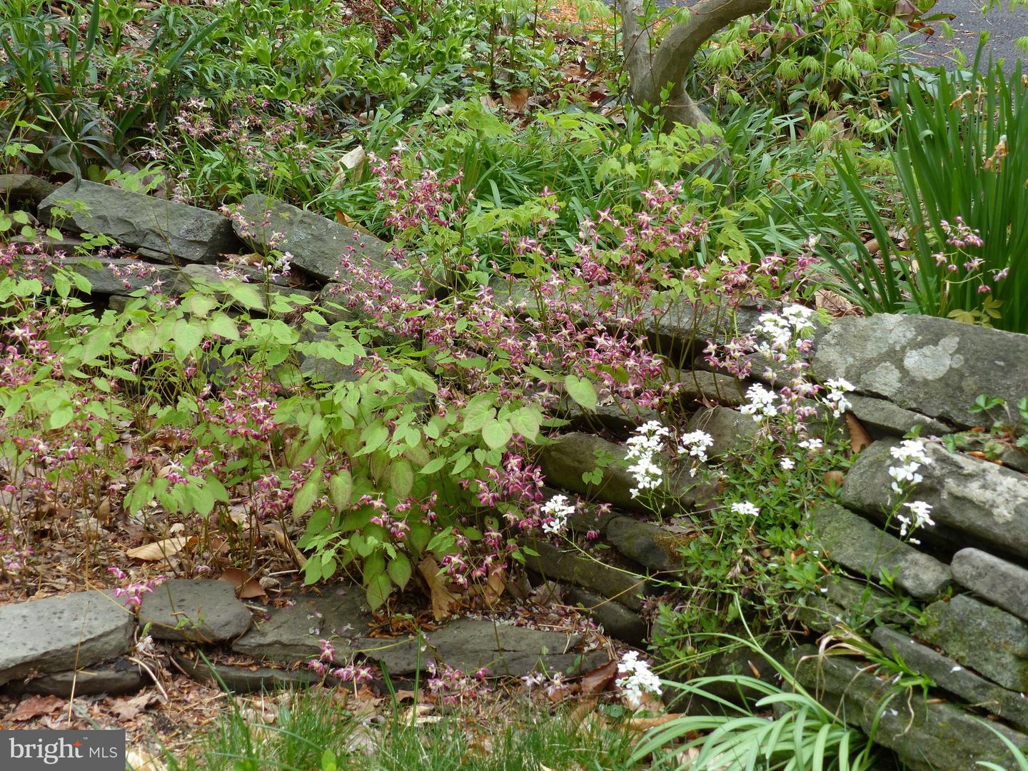 2205 PAUL SPRING RD, ALEXANDRIA, Virginia 22307, 3 Bedrooms Bedrooms, ,2 BathroomsBathrooms,Residential,For sale,2205 PAUL SPRING RD,VAFX2285402 MLS # VAFX2285402