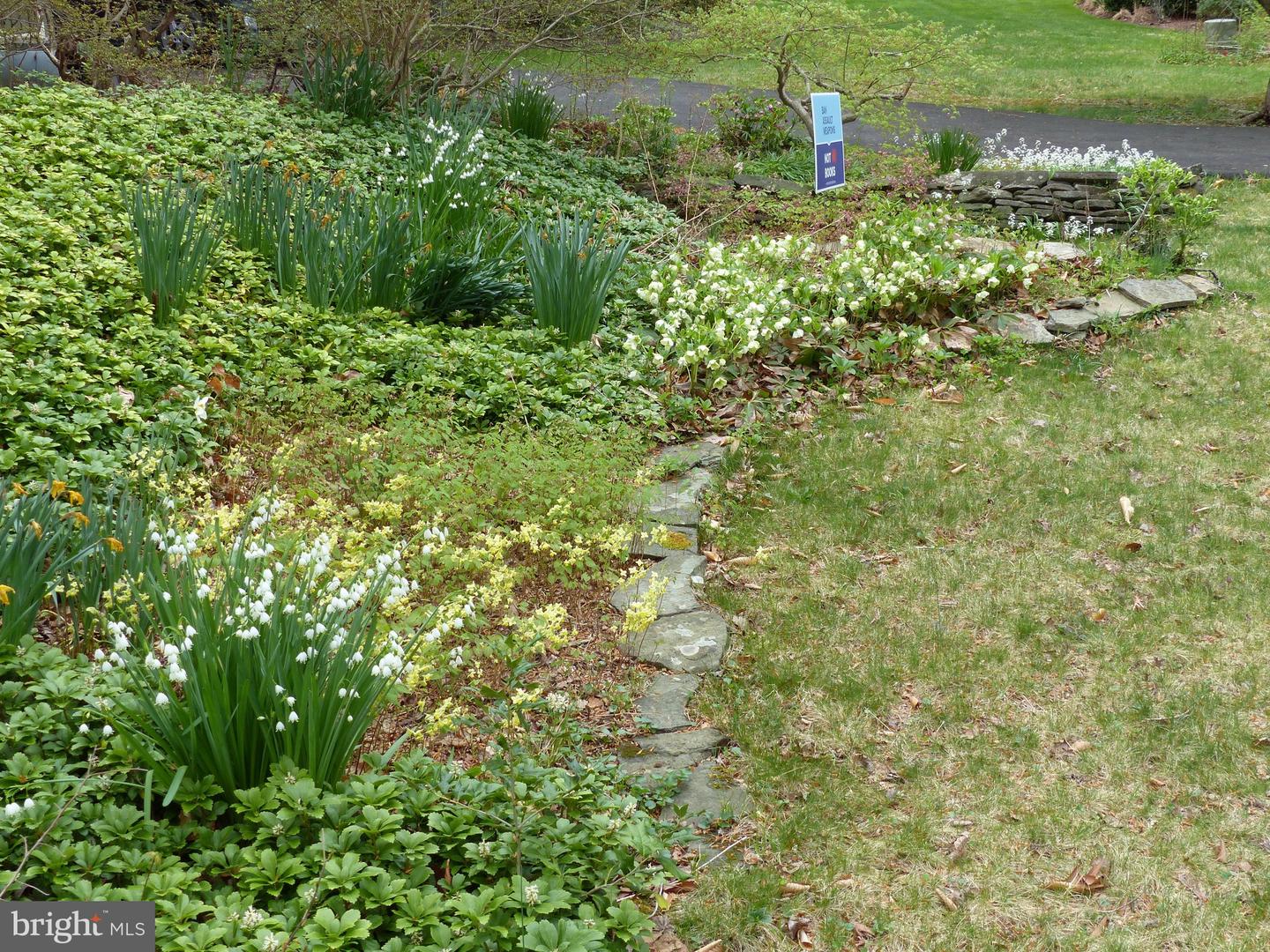 2205 PAUL SPRING RD, ALEXANDRIA, Virginia 22307, 3 Bedrooms Bedrooms, ,2 BathroomsBathrooms,Residential,For sale,2205 PAUL SPRING RD,VAFX2285402 MLS # VAFX2285402