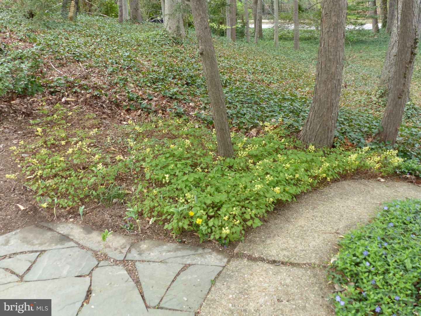 2205 PAUL SPRING RD, ALEXANDRIA, Virginia 22307, 3 Bedrooms Bedrooms, ,2 BathroomsBathrooms,Residential,For sale,2205 PAUL SPRING RD,VAFX2285402 MLS # VAFX2285402