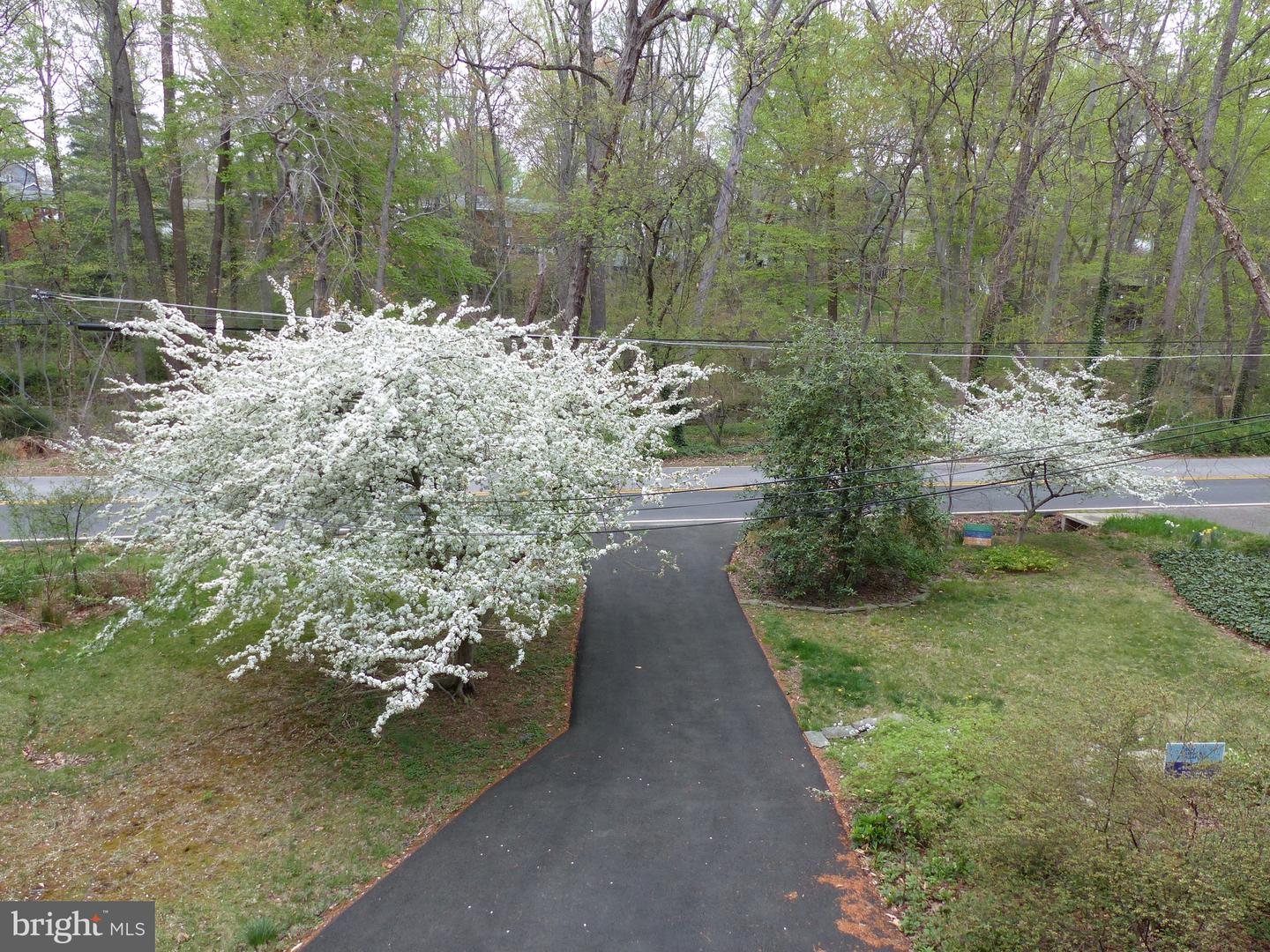 2205 PAUL SPRING RD, ALEXANDRIA, Virginia 22307, 3 Bedrooms Bedrooms, ,2 BathroomsBathrooms,Residential,For sale,2205 PAUL SPRING RD,VAFX2285402 MLS # VAFX2285402