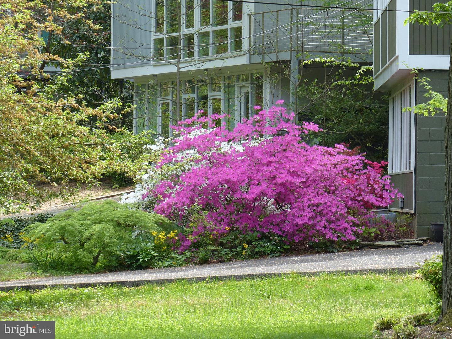 2205 PAUL SPRING RD, ALEXANDRIA, Virginia 22307, 3 Bedrooms Bedrooms, ,2 BathroomsBathrooms,Residential,For sale,2205 PAUL SPRING RD,VAFX2285402 MLS # VAFX2285402