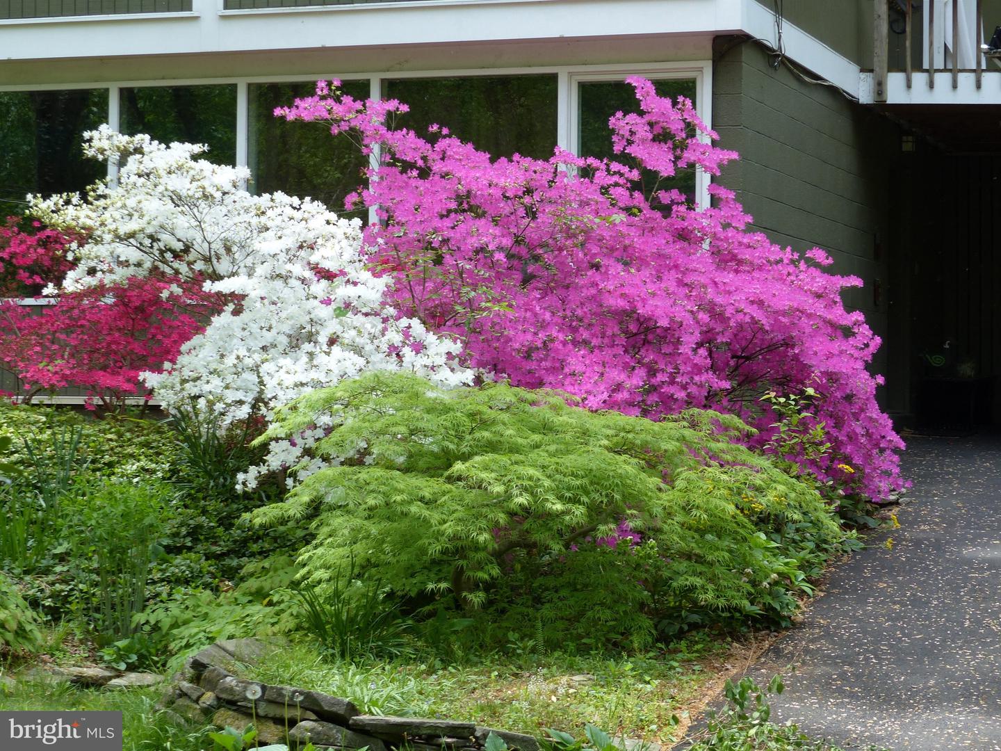 2205 PAUL SPRING RD, ALEXANDRIA, Virginia 22307, 3 Bedrooms Bedrooms, ,2 BathroomsBathrooms,Residential,For sale,2205 PAUL SPRING RD,VAFX2285402 MLS # VAFX2285402