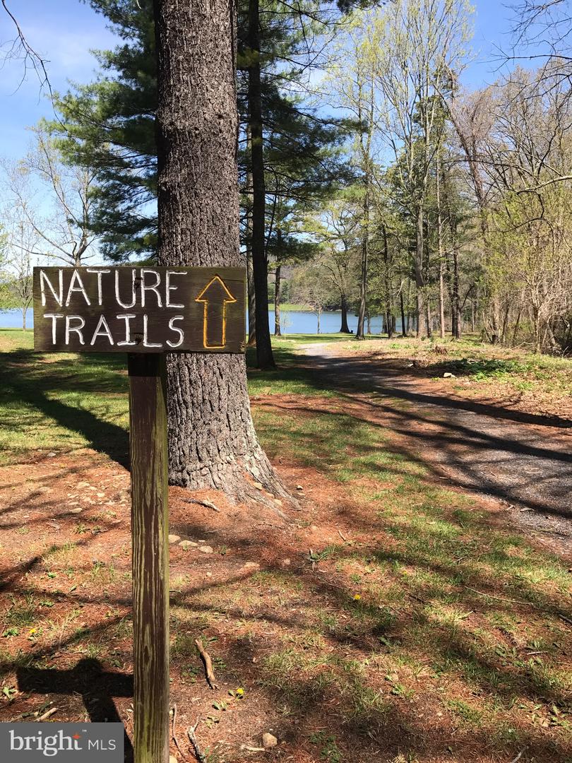 550 CROSS MOUNTAIN RD, LURAY, Virginia 22835, 3 Bedrooms Bedrooms, ,2 BathroomsBathrooms,Residential,For sale,550 CROSS MOUNTAIN RD,VAPA2005886 MLS # VAPA2005886