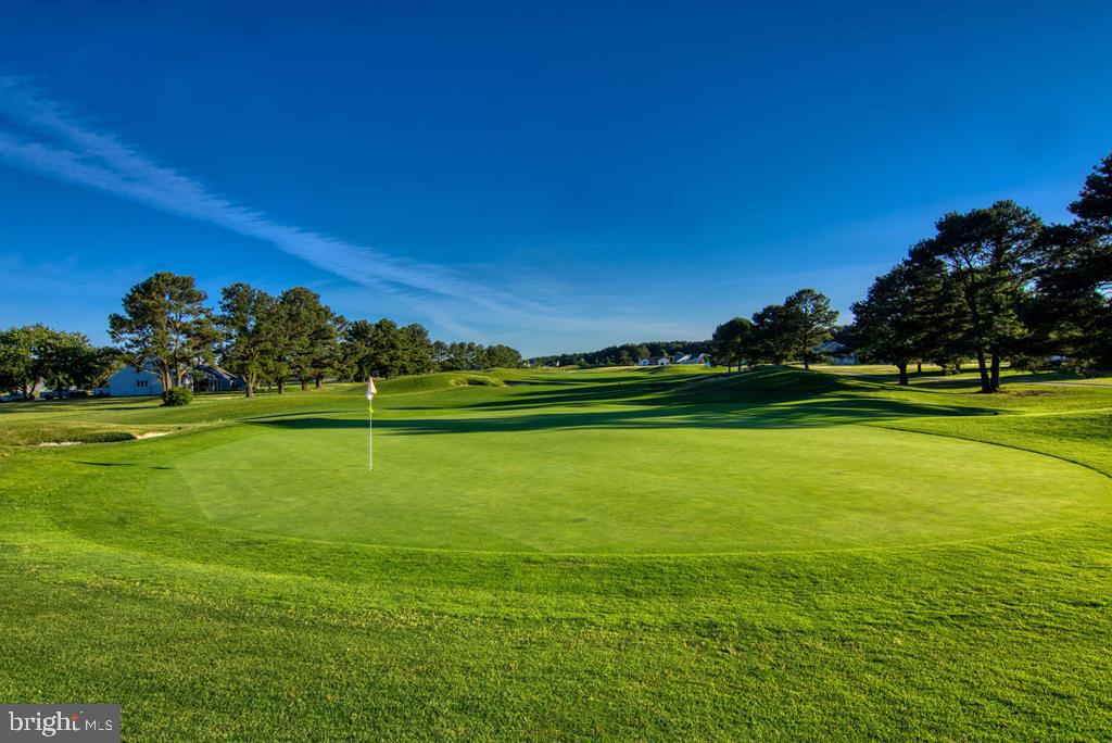 LOT 2266 SQUID CIR, GREENBACKVILLE, Virginia 23356, 3 Bedrooms Bedrooms, ,2 BathroomsBathrooms,Residential,For sale,LOT 2266 SQUID CIR,VAAC2002528 MLS # VAAC2002528 LOT 2266 SQUID CIR, GREENBACKVILLE, Virginia 23356, 3 Bedrooms Bedrooms, ,2 BathroomsBathrooms,Residential,For sale,LOT 2266 SQUID CIR,VAAC2002528 MLS # VAAC2002528