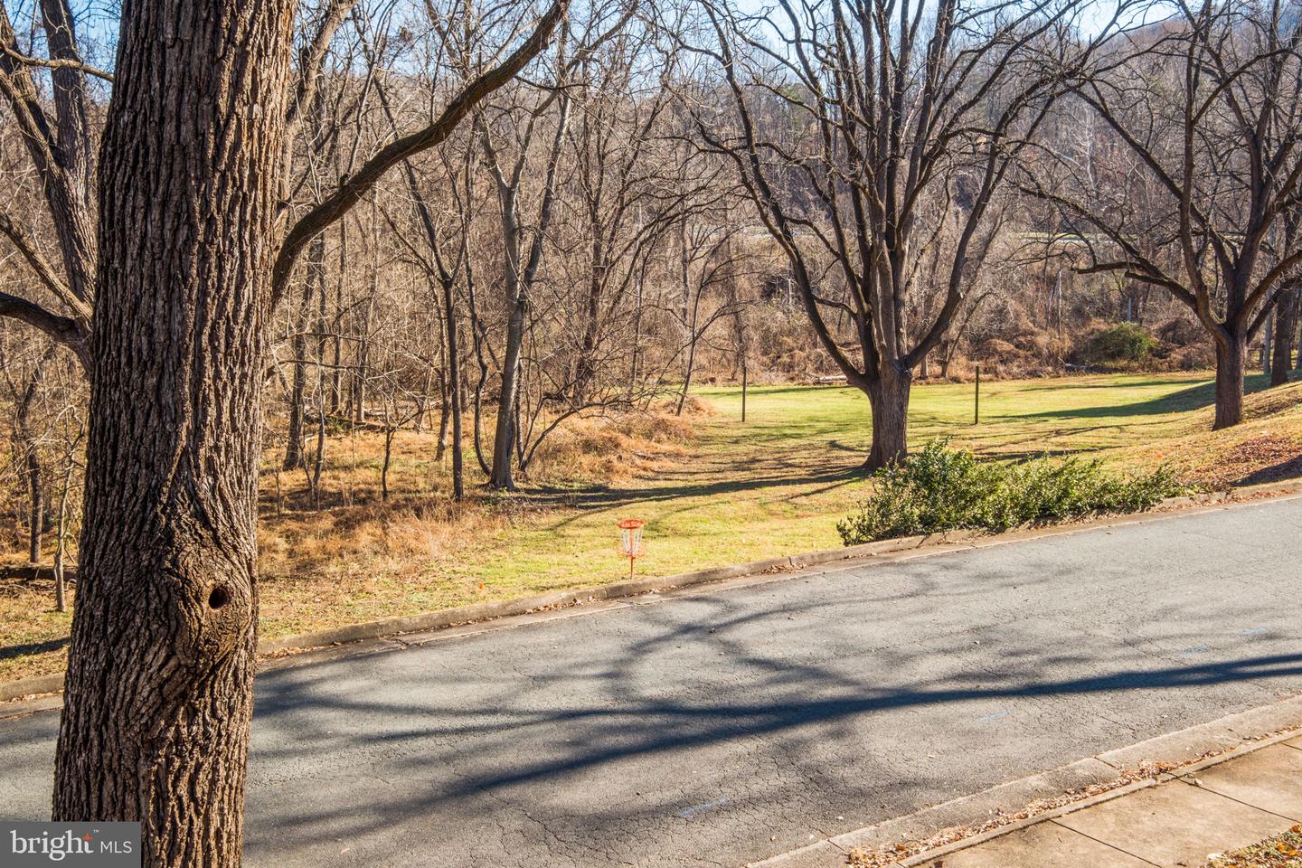 1013 LINDEN AVE #H, CHARLOTTESVILLE, Virginia 22902, 1 Bedroom Bedrooms, ,1 BathroomBathrooms,Residential,For sale,1013 LINDEN AVE #H,VACO2000210 MLS # VACO2000210 1013 LINDEN AVE #H, CHARLOTTESVILLE, Virginia 22902, 1 Bedroom Bedrooms, ,1 BathroomBathrooms,Residential,For sale,1013 LINDEN AVE #H,VACO2000210 MLS # VACO2000210