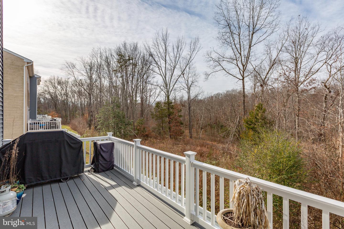 9722 CEDARMASS, FREDERICKSBURG, Virginia 22408, 3 Bedrooms Bedrooms, ,3 BathroomsBathrooms,Residential,For sale,9722 CEDARMASS,VASP2038674 MLS # VASP2038674