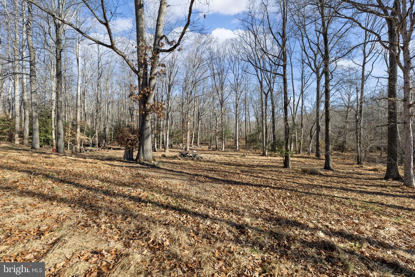 24 WINSLOW RD, FREDERICKSBURG, Virginia 22406, 3 Bedrooms Bedrooms, ,2 BathroomsBathrooms,Residential,For sale,24 WINSLOW RD,VAST2045284 MLS # VAST2045284 24 WINSLOW RD, FREDERICKSBURG, Virginia 22406, 3 Bedrooms Bedrooms, ,2 BathroomsBathrooms,Residential,For sale,24 WINSLOW RD,VAST2045284 MLS # VAST2045284