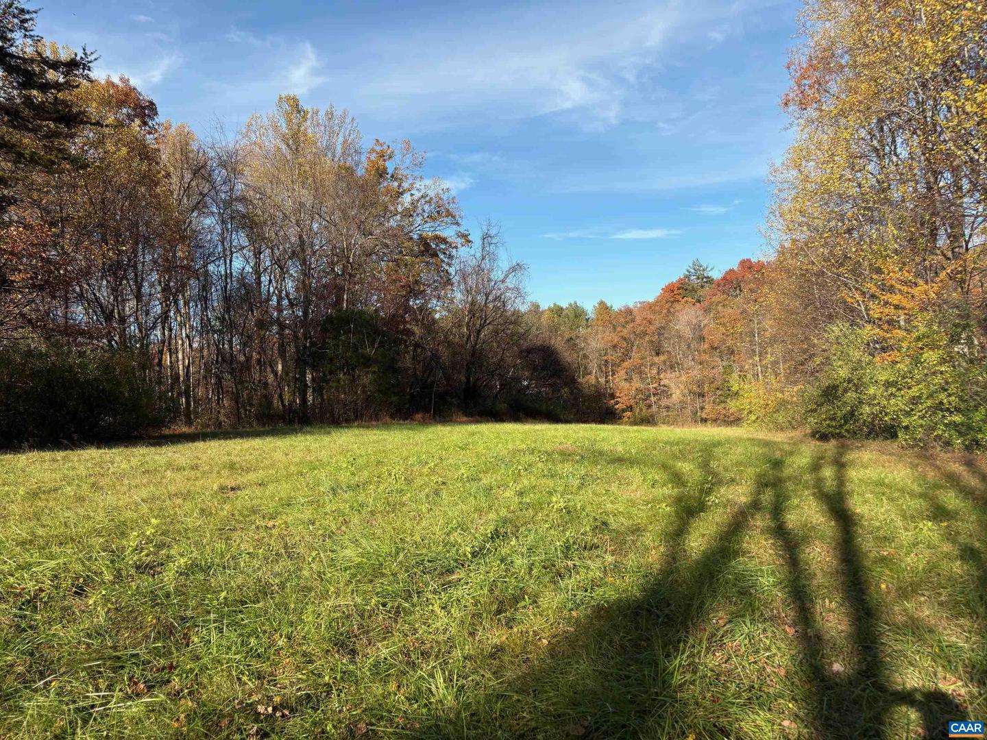 LOT D, TM 24-30 W HOOVER RD #D, REVA, Virginia 22735, ,Land,For sale,LOT D, TM 24-30 W HOOVER RD #D,669990 MLS # 669990