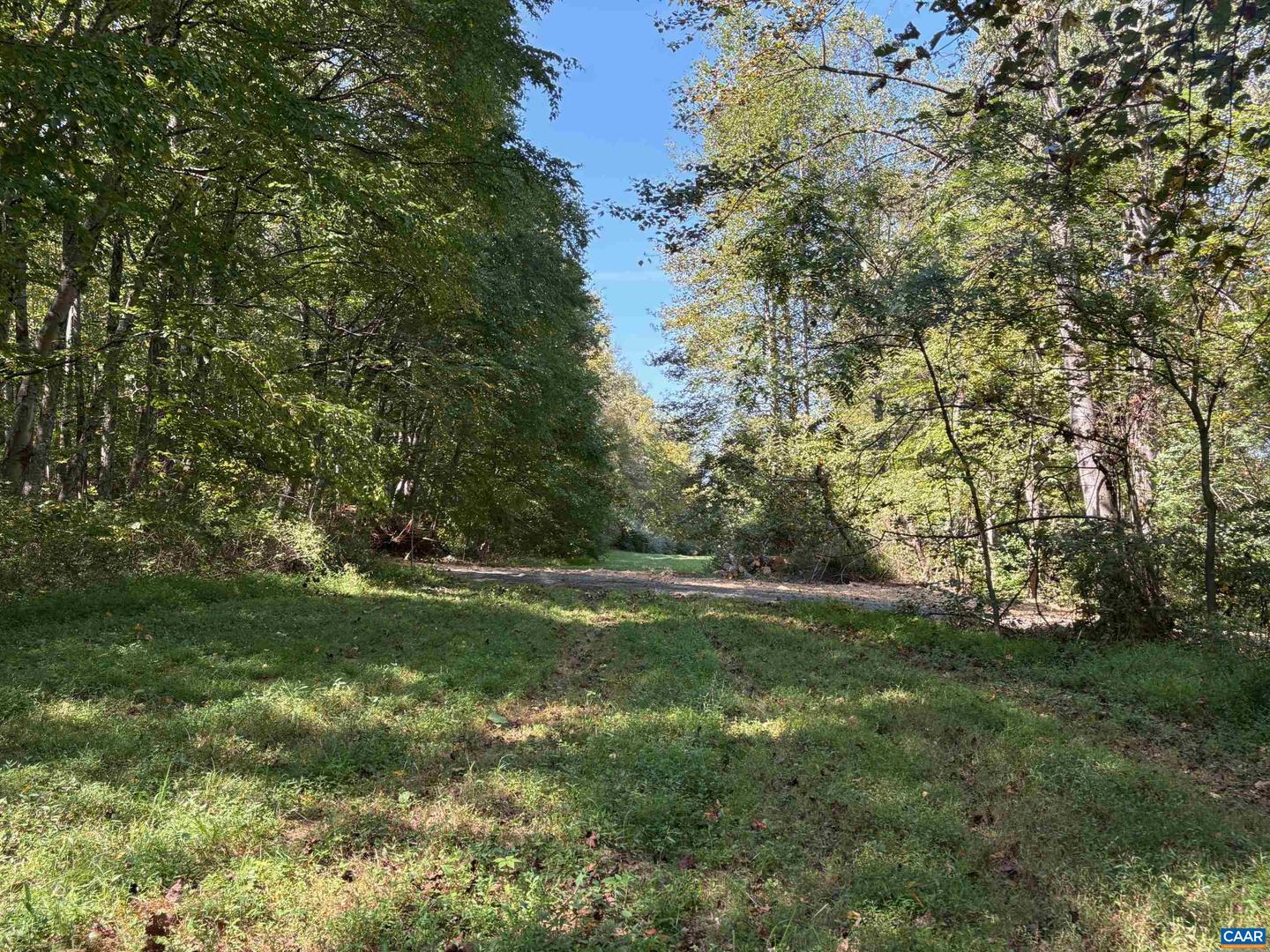LOT D, TM 24-30 W HOOVER RD #D, REVA, Virginia 22735, ,Land,For sale,LOT D, TM 24-30 W HOOVER RD #D,669990 MLS # 669990