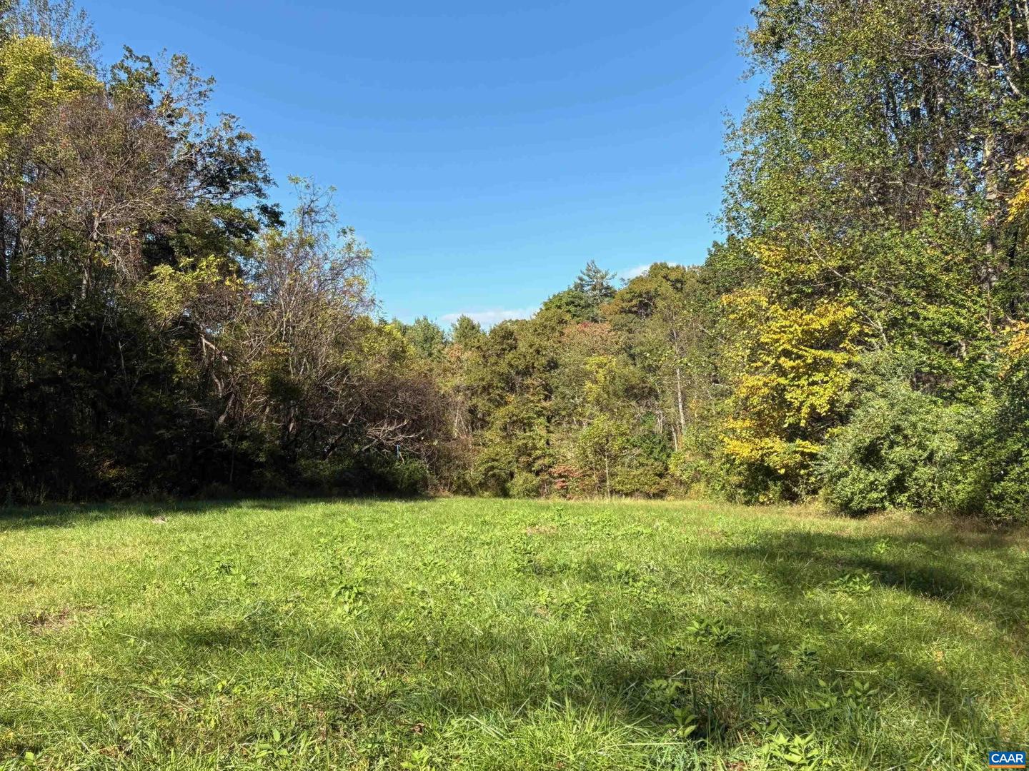 LOT D, TM 24-30 W HOOVER RD #D, REVA, Virginia 22735, ,Land,For sale,LOT D, TM 24-30 W HOOVER RD #D,669990 MLS # 669990
