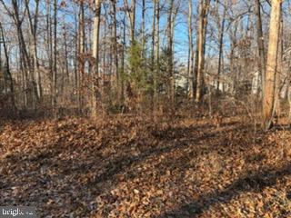 201 CUMBERLAND CIR, LOCUST GROVE, Virginia 22508, ,Land,For sale,201 CUMBERLAND CIR,VAOR2013106 MLS # VAOR2013106