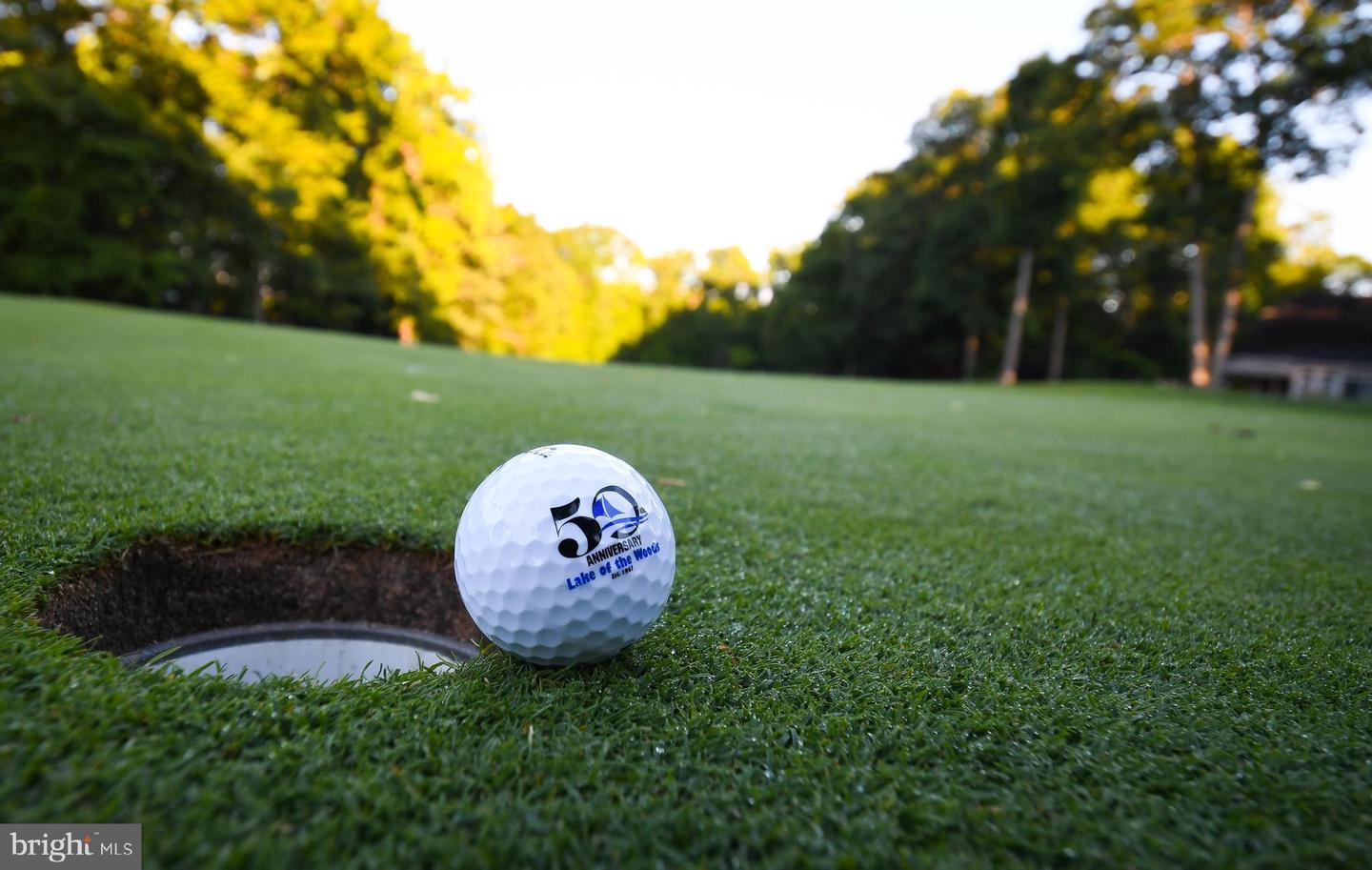 201 CUMBERLAND CIR, LOCUST GROVE, Virginia 22508, ,Land,For sale,201 CUMBERLAND CIR,VAOR2013106 MLS # VAOR2013106