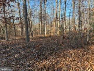 201 CUMBERLAND CIR, LOCUST GROVE, Virginia 22508, ,Land,For sale,201 CUMBERLAND CIR,VAOR2013106 MLS # VAOR2013106