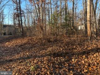 201 CUMBERLAND CIR, LOCUST GROVE, Virginia 22508, ,Land,For sale,201 CUMBERLAND CIR,VAOR2013106 MLS # VAOR2013106