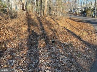 201 CUMBERLAND CIR, LOCUST GROVE, Virginia 22508, ,Land,For sale,201 CUMBERLAND CIR,VAOR2013106 MLS # VAOR2013106