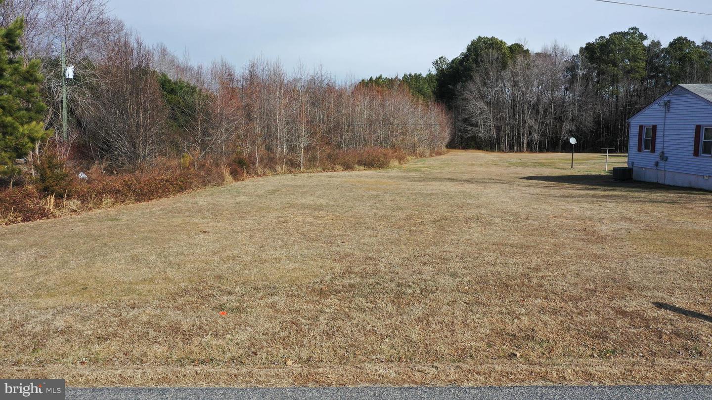 39-A-35 QUARTERS RD, WOODFORD, Virginia 22580, ,Land,For sale,39-A-35 QUARTERS RD,VACV2009402 MLS # VACV2009402