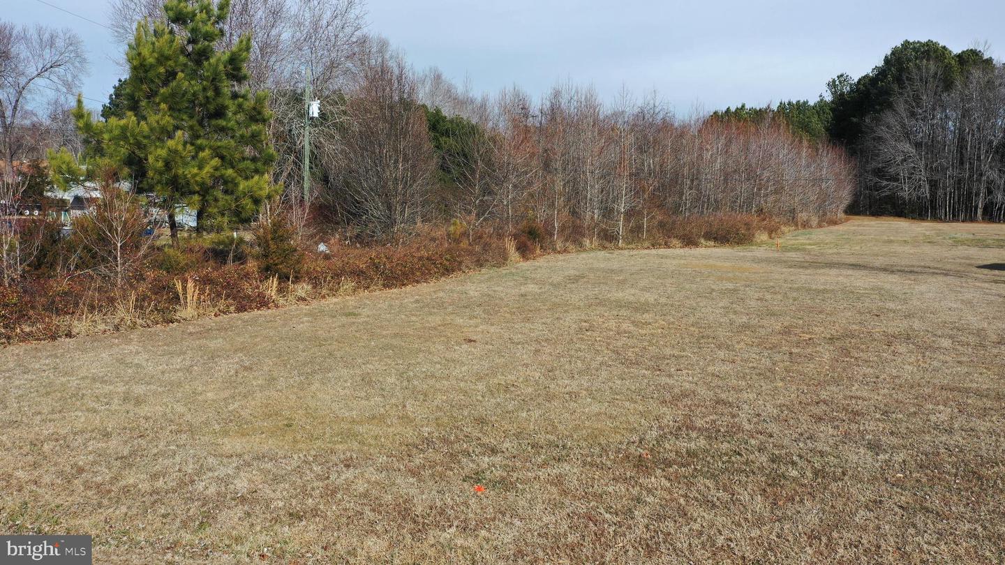 39-A-35 QUARTERS RD, WOODFORD, Virginia 22580, ,Land,For sale,39-A-35 QUARTERS RD,VACV2009402 MLS # VACV2009402