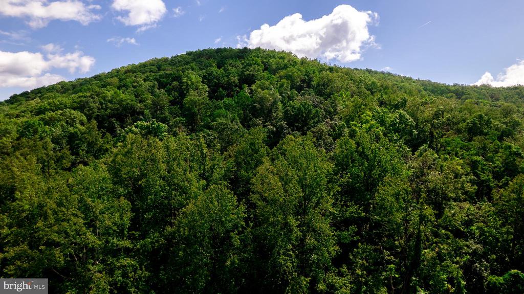 4179 FIERY RUN RD, LINDEN, Virginia, 5 Bedrooms Bedrooms, ,2 BathroomsBathrooms,Residential,4179 FIERY RUN RD,VAFQ2020140 MLS # VAFQ2020140