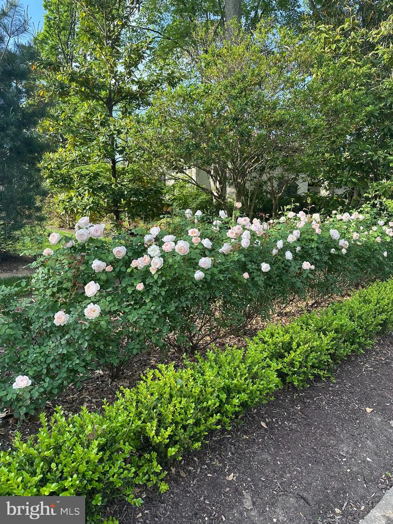 3903 BELLE RIVE TER, ALEXANDRIA, Virginia 22309, 6 Bedrooms Bedrooms, ,5 BathroomsBathrooms,Residential,For sale,3903 BELLE RIVE TER,VAFX2278978 MLS # VAFX2278978