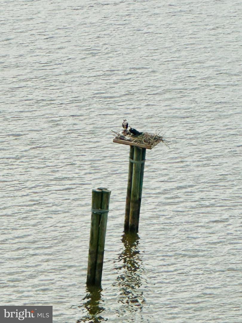 3903 BELLE RIVE TER, ALEXANDRIA, Virginia 22309, 6 Bedrooms Bedrooms, ,5 BathroomsBathrooms,Residential,For sale,3903 BELLE RIVE TER,VAFX2278978 MLS # VAFX2278978